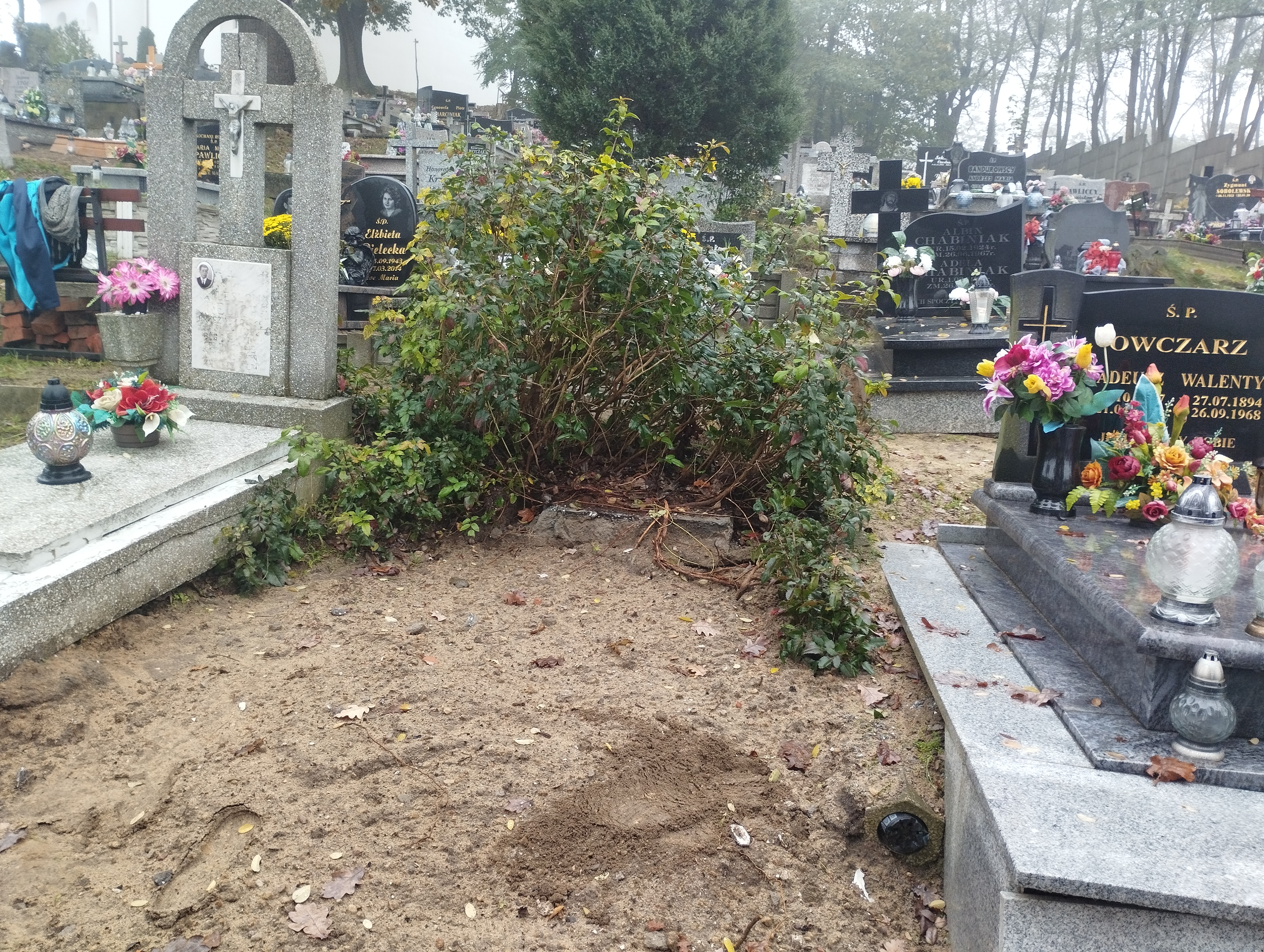 Grób Kazimierz Iwasieczko