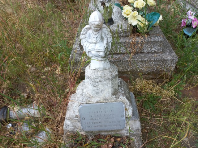 Irena Macura 1947 Gmina Nowa Sól / Kiełcz - Grobonet - Wyszukiwarka osób pochowanych